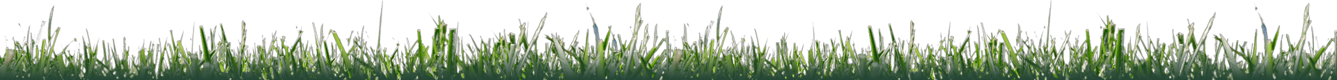 grass strip
